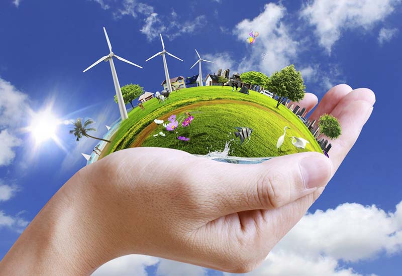 Human Capital Development