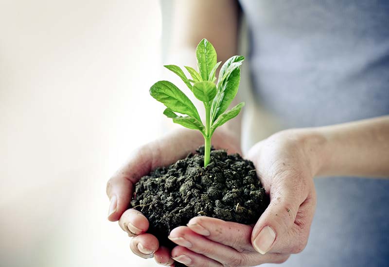 Human Capital Development